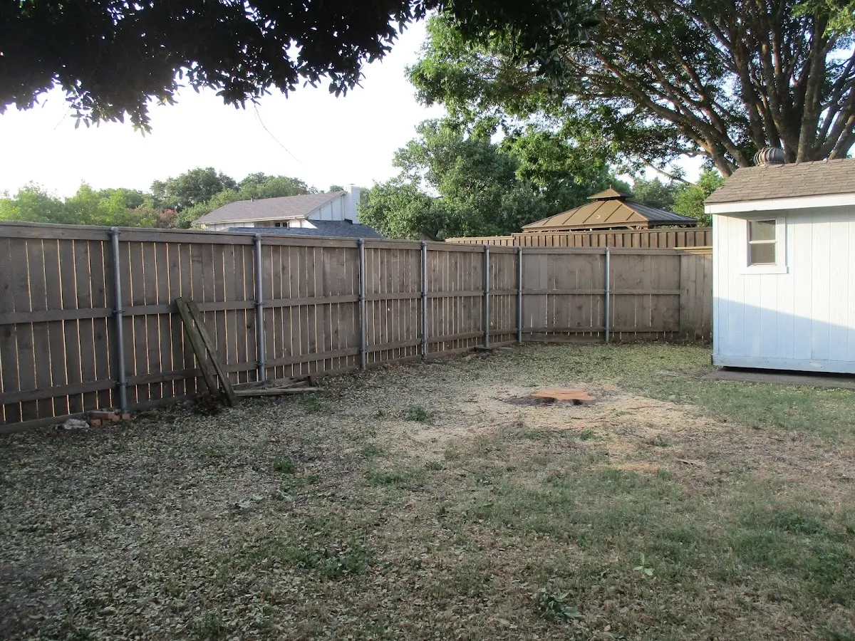 Cleared yard after professional tree removal in Rodney